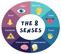 8 Senses