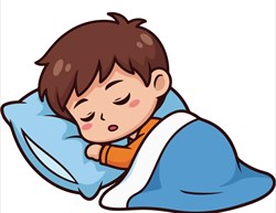 Sleep