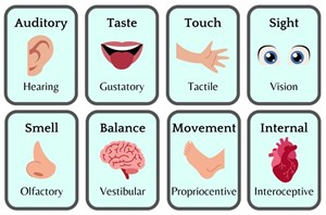 Eight Senses