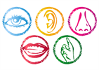 Senses