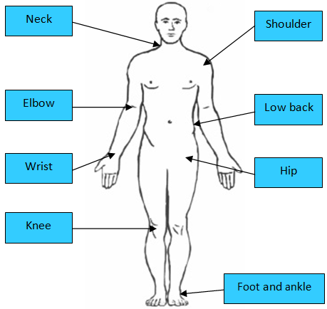 Bodychart